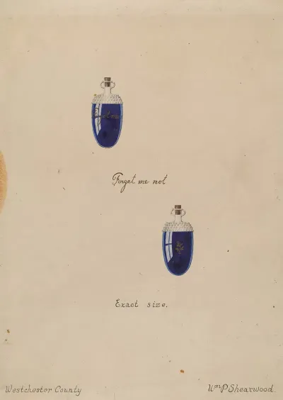 Perfume Bottle 4
