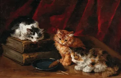 Perplexed Kittens