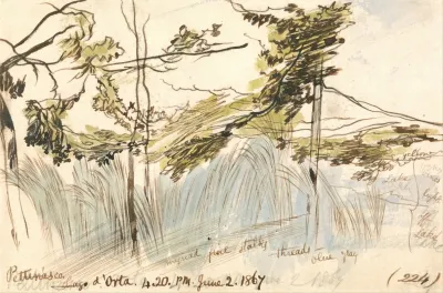 Pettenasco Lago Dorta 4 20 Pm 2 June 1867