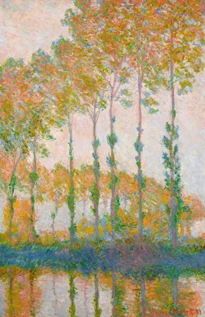 Peupliers Au Bord De Lepte Automne