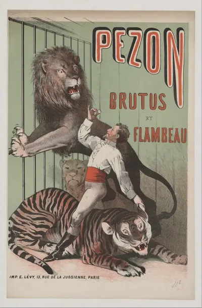 Pezon Brutus Et Flambeau