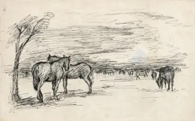Pferde Auf Der Wiese