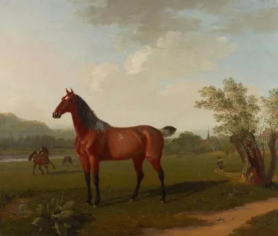 Pferde In Landschaft