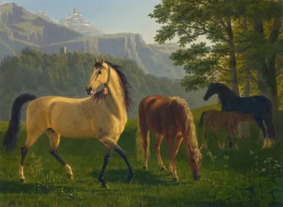 Pferde Vor Landschaft Horses In Landscape