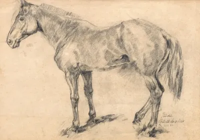 Pferdestudie 3