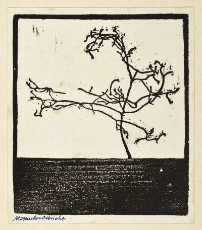 Pflanzen Und Pflanzenornament 11