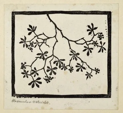 Pflanzen Und Pflanzenornament 14