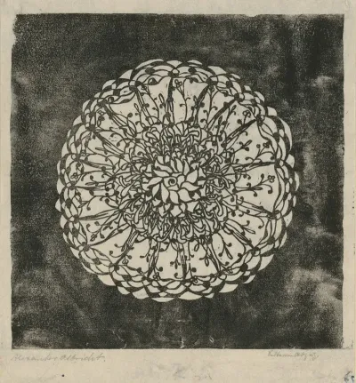 Pflanzen Und Pflanzenornament Rosette