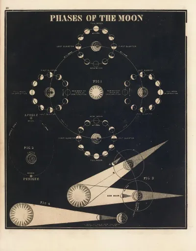 Phases Of The Moon