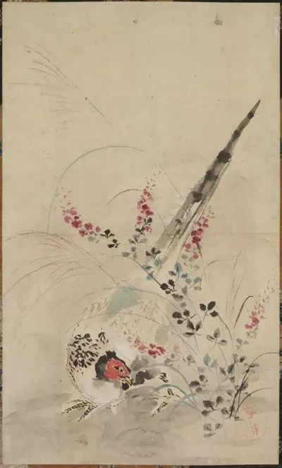 Pheasant And Grasses