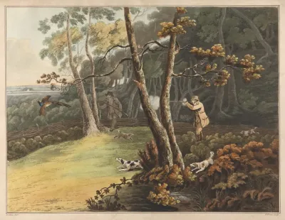 Pheasant Shooting 10