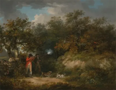 Pheasant Shooting 2