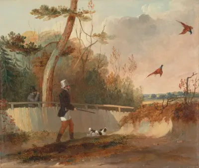 Pheasant Shooting 4