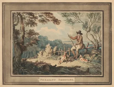 Pheasant Shooting 6