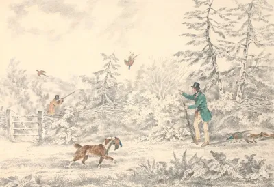 Pheasant Shooting 7