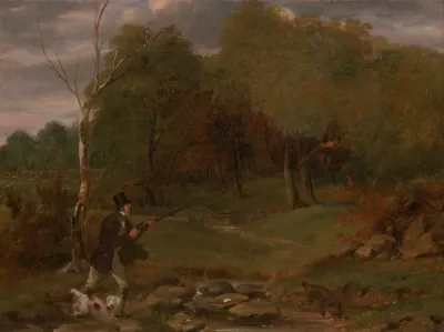 Pheasant Shooting