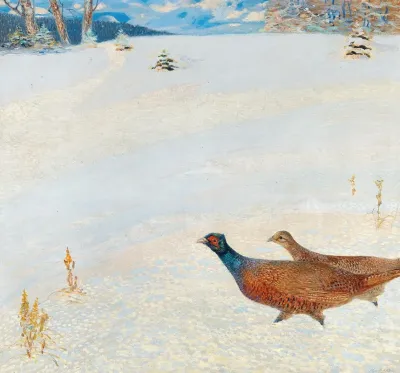 Pheasants In A Winter Landscape