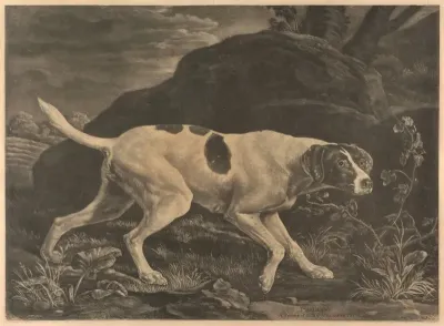 Phillis A Pointer Of Lord Clermonts