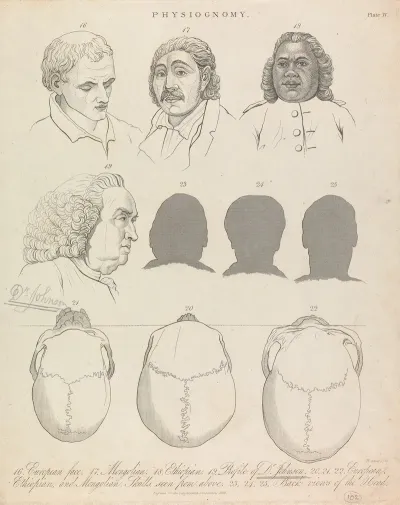Physiognomy