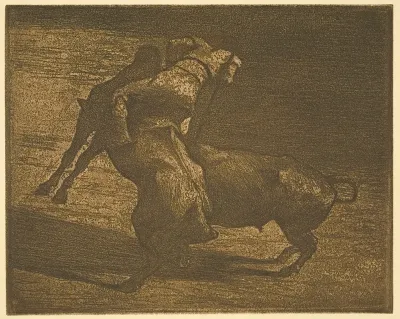 Picador 10
