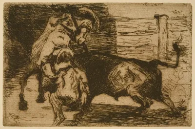 Picador 6