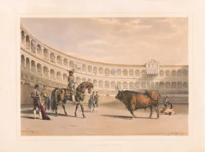 Picador Challenging The Bull