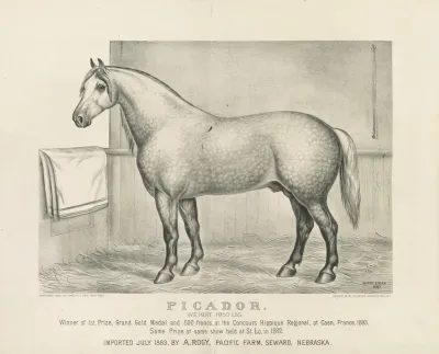 Picador Weight 1950 Lbs