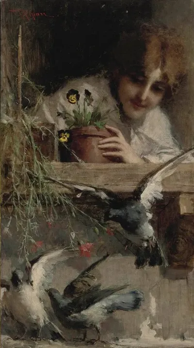 Piccioni Alla Finestra