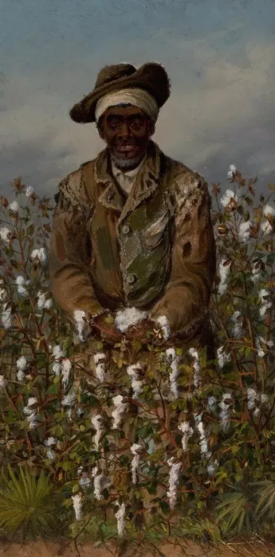 Pickin Cotton