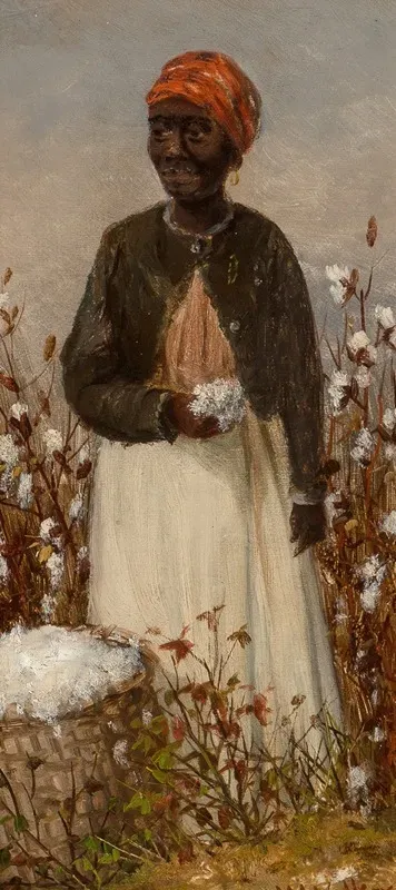 Picking Cotton 2