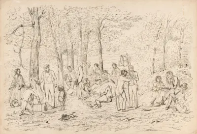 Picknick In Het Bos