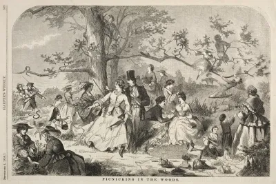 Picknicking In The Woods