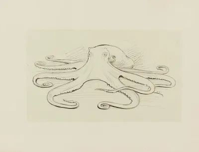 Pieuvre Dessin Pour Le Cul De Lampe Du Chapitre 16 Le Monstre Vaincu