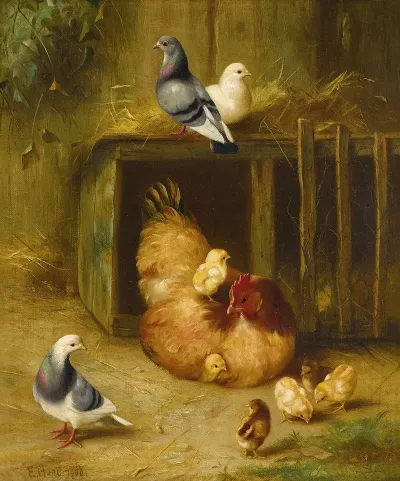 Pigeons And Chicks With Mother Hen