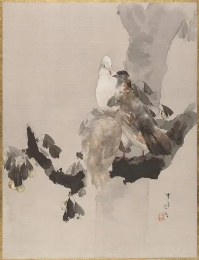 Pigeons In A Tree