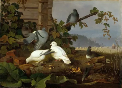 Pigeons