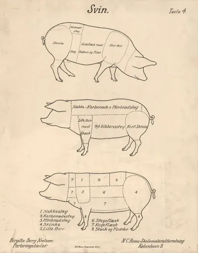 Pigs 3