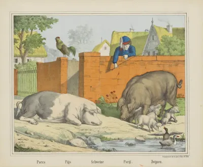 Pigs 4