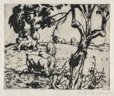 Pigs In Orchard