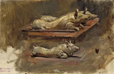 Pigs Study For During Fasting Time