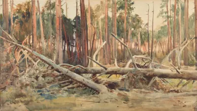 Pine Forest 3