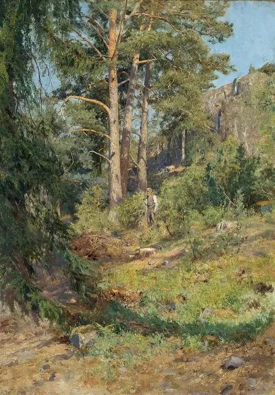 Pine Forest Skutudden