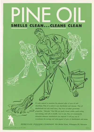 Pine Oil Smells Clean Cleans Clean 2