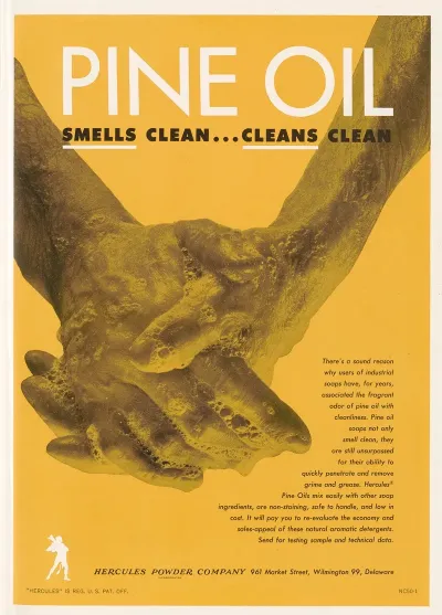 Pine Oil Smells Clean Cleans Clean