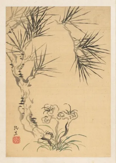 Pine Tree And Fungus