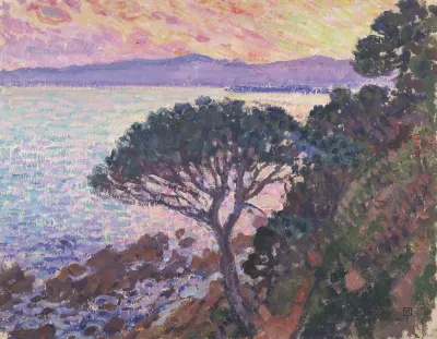 Pine Tree Near The Mediterranean Sea At Sunset