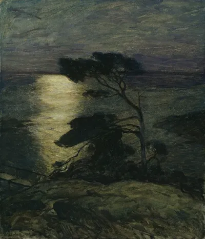 Pine Tree On The Coast In Moonlight