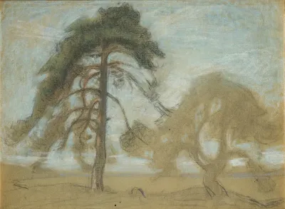 Pine Trees Tyreso