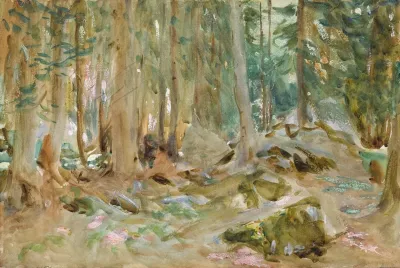 Pine Woods Purtud