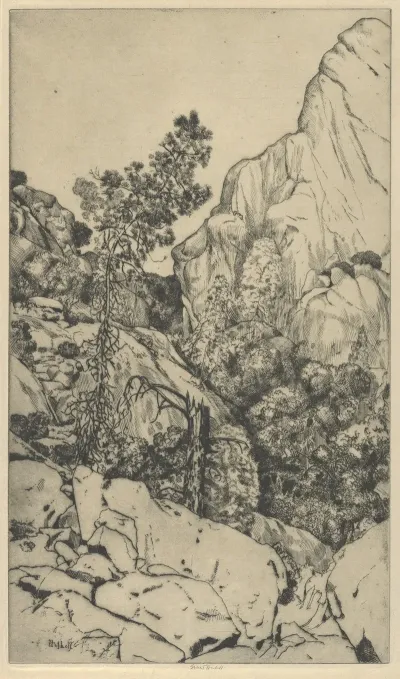 Pines And Pinnacles